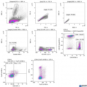 请输入相册名称