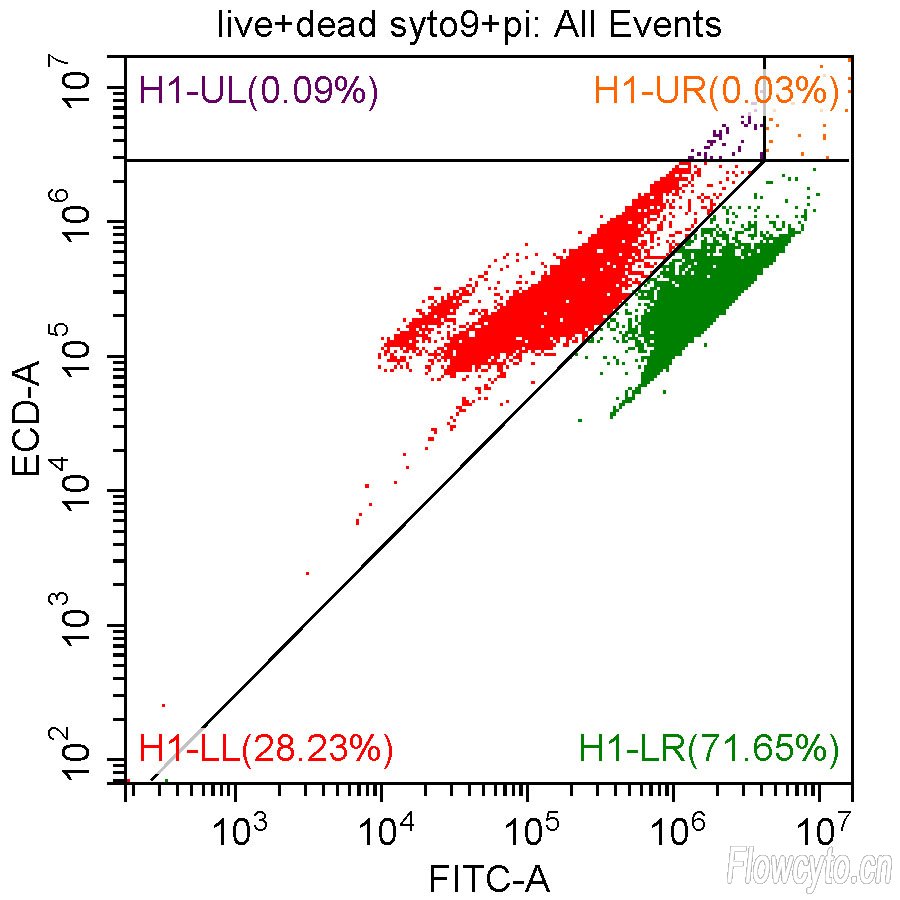 一半活和一半死+PI和SYTO9染色