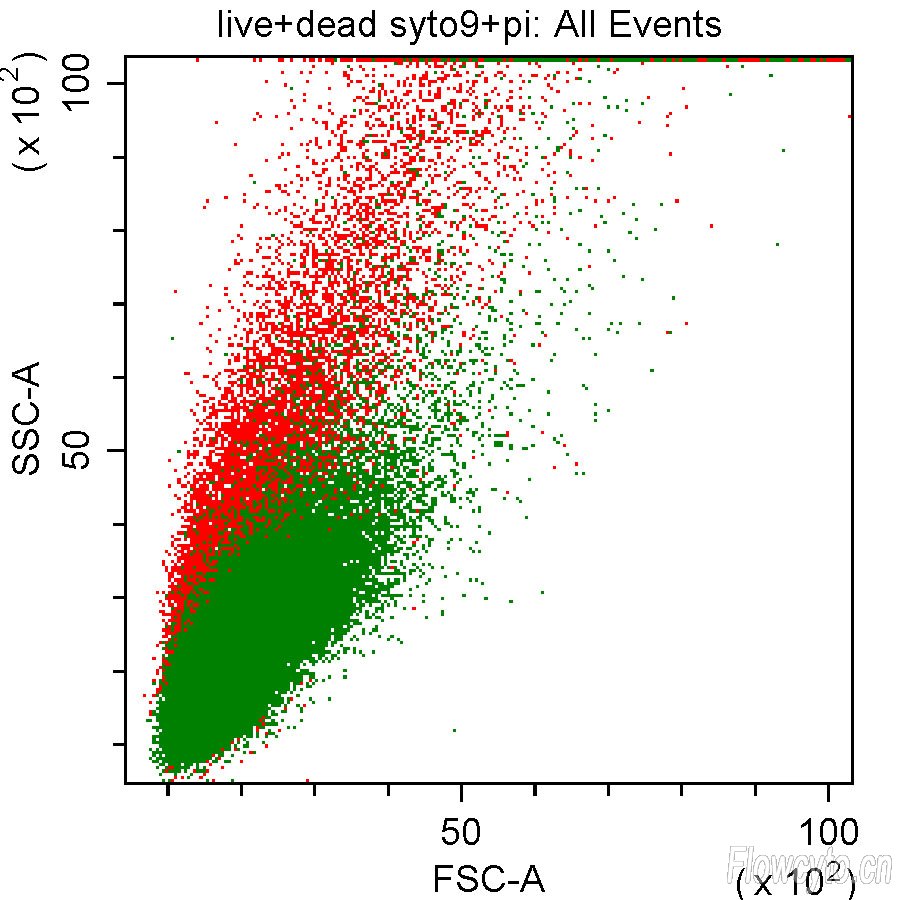 一半活和一半死+PI和SYTO9染色