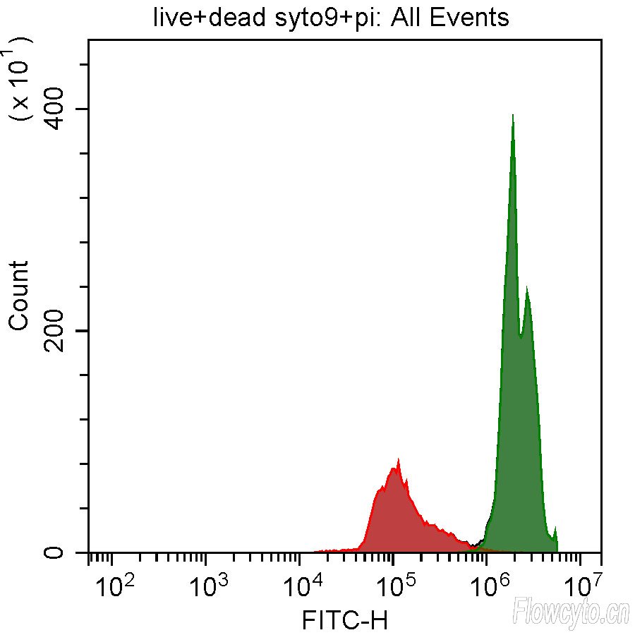 一半活和一半死+PI和SYTO9染色