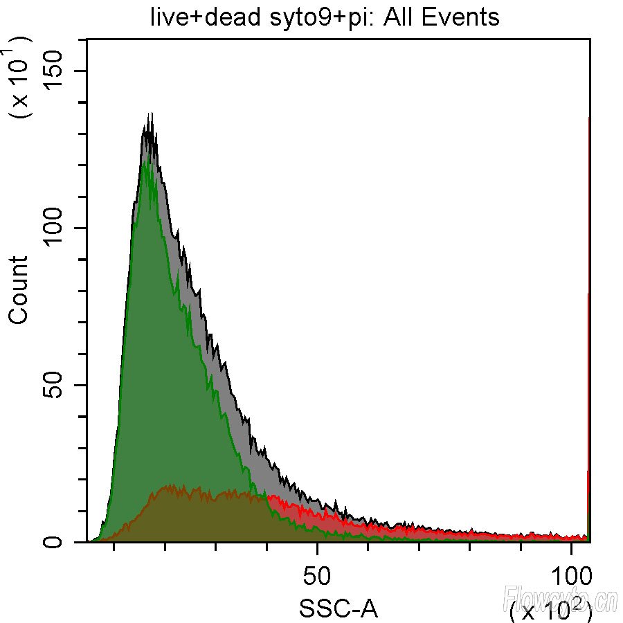 一半活和一半死+PI和SYTO9染色