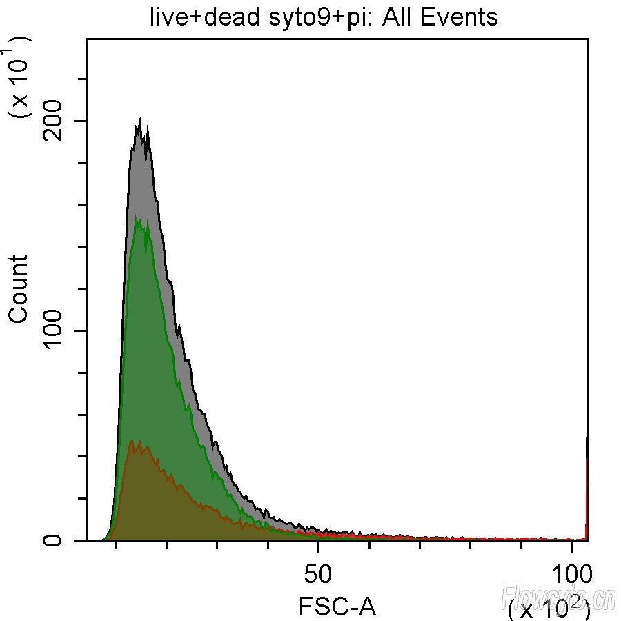 一半活和一半死+PI和SYTO9染色