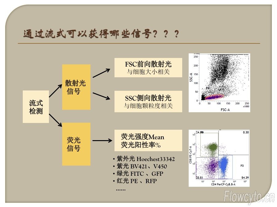 幻灯片5.jpg