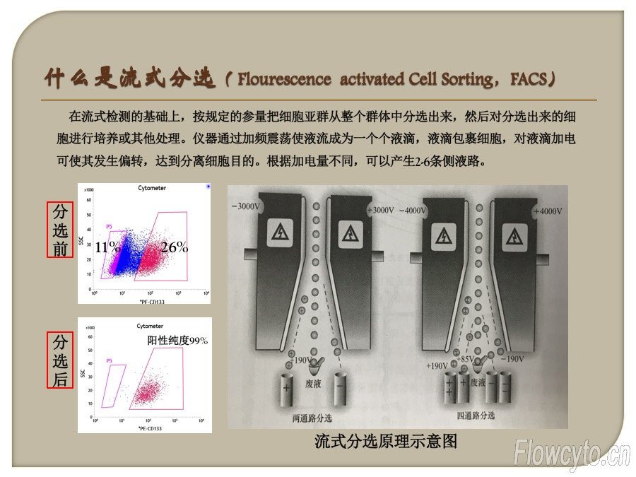 幻灯片6.jpg