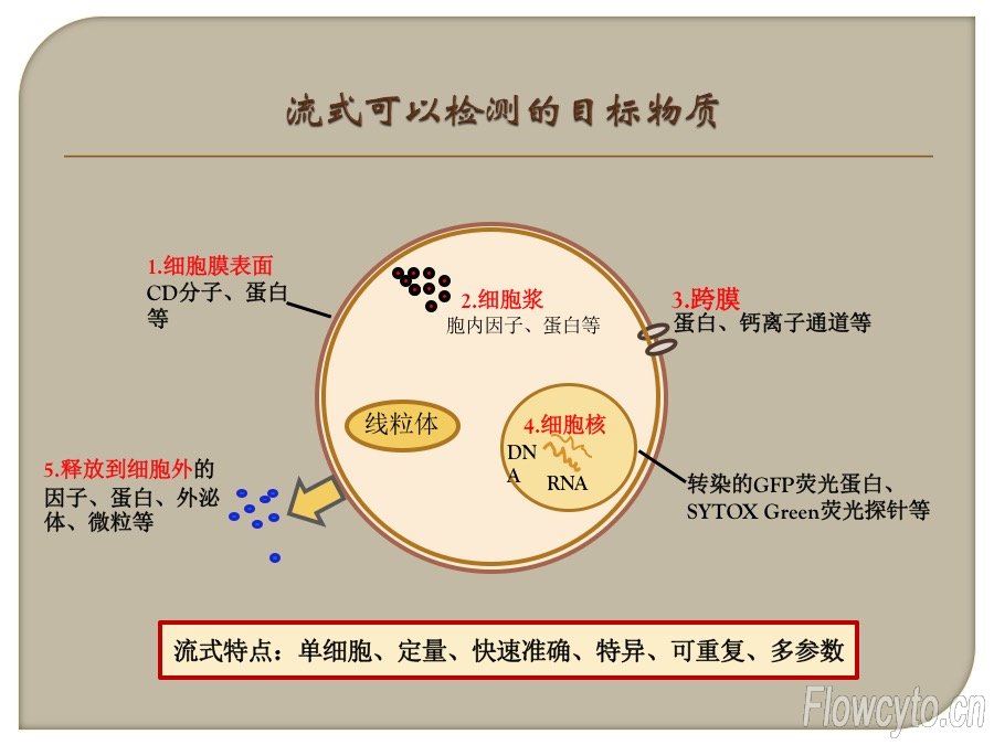 幻灯片7.jpg