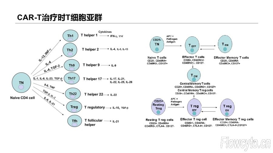 幻灯片31.jpg