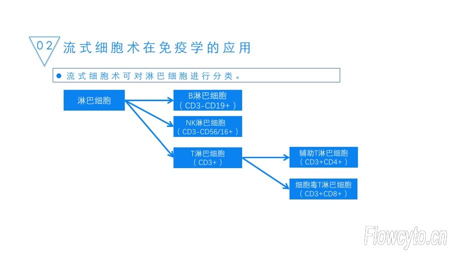 幻灯片12.jpg