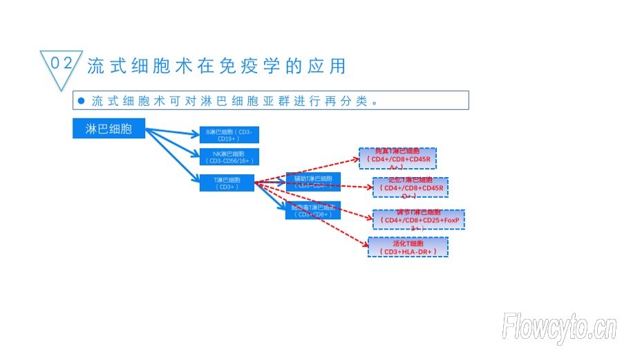 幻灯片13.jpg