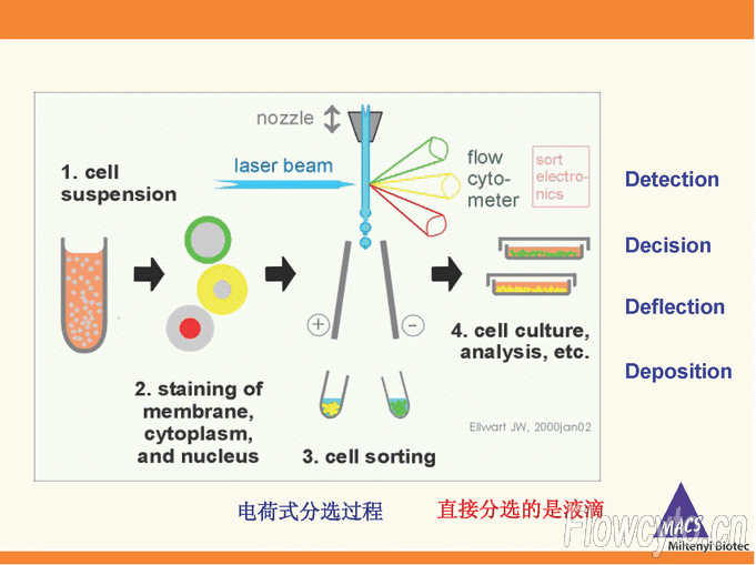 电荷式分选过程